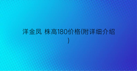 洋金凤 株高180价格(附详细介绍)